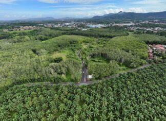 Phuket svela una nuova strada per decongestionare il traffico