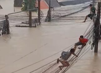 Víctimas de las inundaciones arriesgan sus vidas trepando cables en medio del desastre de Hat Yai – VIDEO