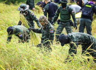 Koninklijk Thais leger meldt toenemende militaire bewegingen langs de grens met Cambodja