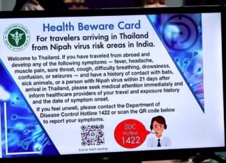 Phuket Airport Tightens Nipah Virus Screening to Reassure Passengers