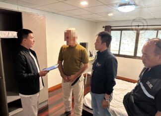 German Man Arrested for Free Gaza Spray-Paint Vandalism on Koh Pha Ngan