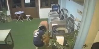 Arrestan a ladrón tras robar lavadoras de monedas en Phuket