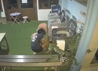 Dief gearresteerd na diefstal van muntwasmachines in Phuket