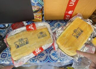 Polizei beschlagnahmt 20,000 Meth-Pillen, versteckt in einem Lieferdienst