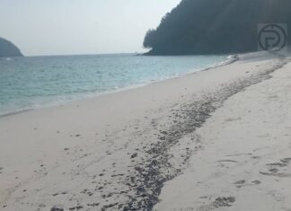 La risposta rapida ripristina la spiaggia di Coral Island dopo la fuoriuscita di petrolio