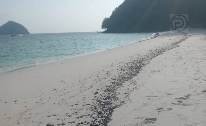 الأطباق الرئيسية