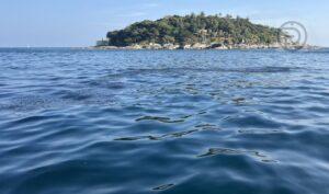 Oil Spill from Sunken Cargo Ship Reaches Phuket’s Shores