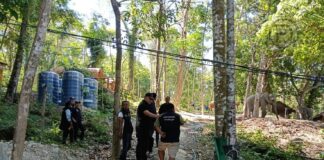 Crackdown on Forest Encroachment at Phuket’s Freedom Beach