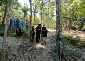 Opération de répression contre l'empiètement sur la forêt à Freedom Beach, à Phuket.