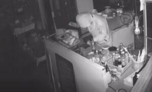 Police Nab Teen Serial Burglar in Wichit
