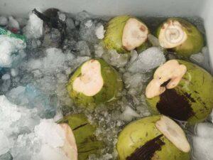 Phuket Commerce Officials Crack Down on Price Gouging After Viral Coconut Drama
