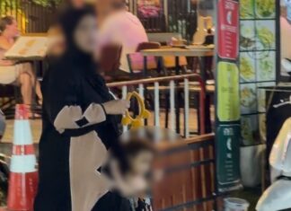Behörden greifen ein, nachdem eine arabische Familie in Patong beim Betteln angetroffen wurde.