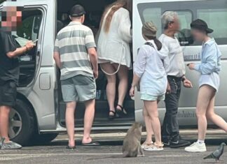 Russian Man Arrested for Illegal Tour Guiding in Phang Nga