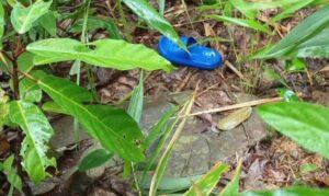 Search for Missing Toddler in Phang Nga Enters Third Day