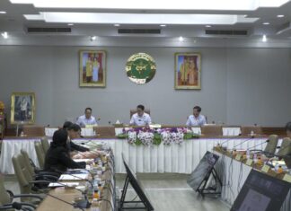 Il comitato thailandese per le malattie trasmissibili approva uno studio per classificare l'hantavirus come malattia trasmissibile pericolosa e afferma che il pubblico non deve farsi prendere dal panico, poiché il rischio complessivo è basso.
