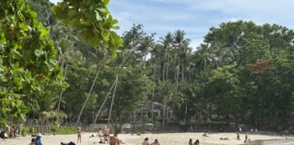 Phuket Businesses Back End of 60-Day Free Visa, Accept Short-Term Dip in Tourism