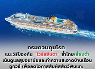 タイ、国内リスク低迷の中、国境でのハンタウイルス監視を強化、トップ医師が病原体の変異について解説