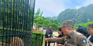 Zoo in Krabi Raided Due to Suspected Israeli Owners Using Nominees Illegally