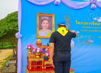Phuket rinde homenaje a Su Majestad la Reina Suthida con la liberación de tortugas marinas y tiburones bambú.