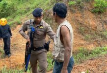 Suspects Caught Red-Handed in Phuket Power Office Construction Theft