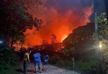 Blaze Engulfs Phuket Worker Camp, Hundreds Flee in Panic