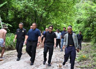 Deputy Interior Ministers Tackle Land Encroachment at Phuket’s Freedom Beach