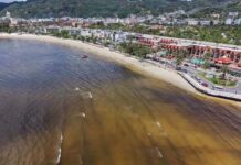 Municipality Clarifies after Sea Turns Black at Patong Beach
