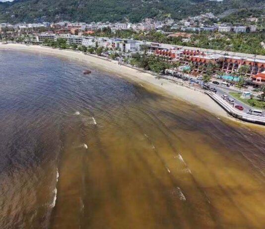 Municipality Clarifies after Sea Turns Black at Patong Beach