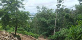 Phuket Authorities Crack Down on Forest Encroachment