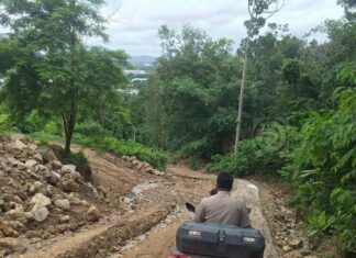 Phuket Authorities Crack Down on Forest Encroachment