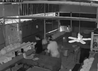 Armed Durian Theft in Karon Leaves Shop Owner Injured