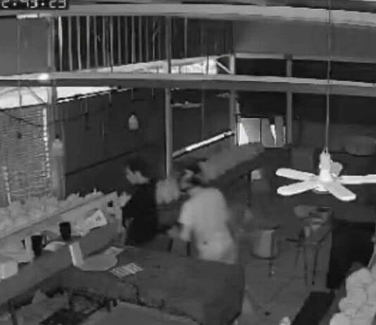 Armed Durian Theft in Karon Leaves Shop Owner Injured