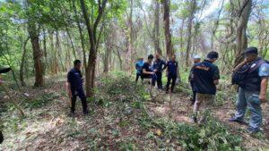 Phuket Authorities Crack Down on Encroachment of Public Land in Rawai