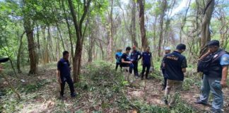 Phuket Authorities Crack Down on Encroachment of Public Land in Rawai