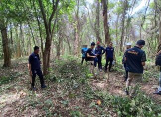 Phuket Authorities Crack Down on Encroachment of Public Land in Rawai