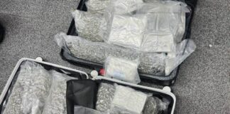 Thailand Issues Urgent Warning to Travelers: Avoid Cannabis Smuggling Risks Amid Surge in Airport Arrests