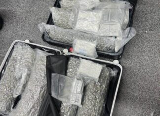 タイ、空港での逮捕者急増を受け旅行者に緊急警告:大麻密輸のリスクを避けるよう呼びかけ