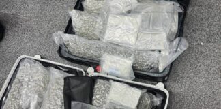 Belgian Woman Arrested at Phuket Airport with 31 Kilograms of Cannabis