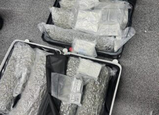 Una mujer belga fue arrestada en el aeropuerto de Phuket con 31 kilogramos de cannabis.
