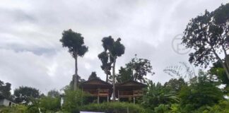 Phuket Authorities Order Removal of 22 Structures from Freedom Beach Forest Reserve