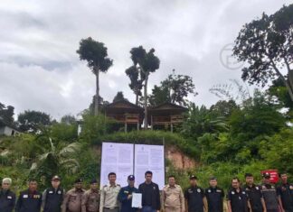 Phuket Authorities Order Removal of 22 Structures from Freedom Beach Forest Reserve