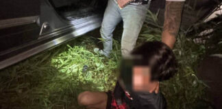 Young Driver Arrested After Escaping at Police Checkpoint in Thalang, Gun Found in Vehicle