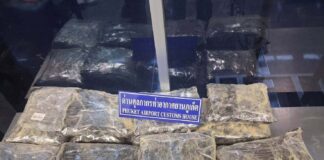 Filipino and Thai Arrested at Phuket Airport, 32 Kilograms of Cannabis Seized