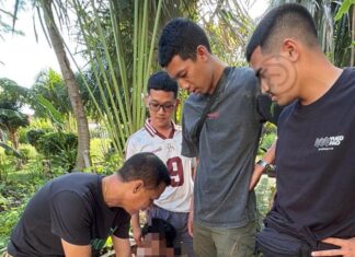 Suspect Arrested for Coin-Operated Washing Machine Theft in Chalong