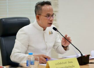 Phuket Files 39 Foreign Land Cases, Probes 317 More