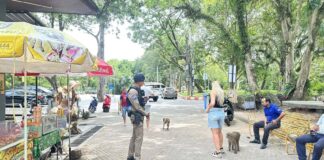Phuket Generates Over 300 Million Baht During Long Holiday Period