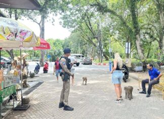 Phuket genera oltre 300 milioni di baht durante il lungo periodo festivo.