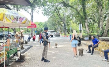 Phuket Generates Over 300 Million Baht During Long Holiday Period