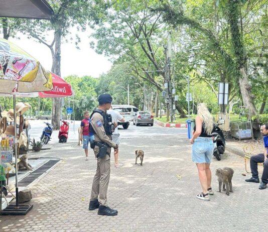 Phuket Generates Over 300 Million Baht During Long Holiday Period
