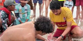 Dolphin Rescued After Being Stranded on Patong Beach